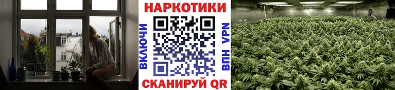 Где купить наркотики Котельниково A PVP  АМФ  COCAIN  Псилоцибиновые грибы  Гашиш 