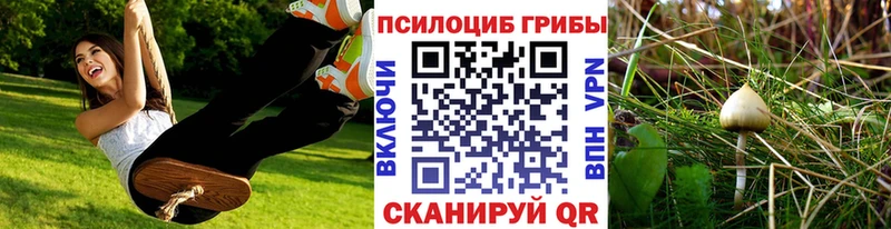 Галлюциногенные грибы Magic Shrooms  Котельниково 